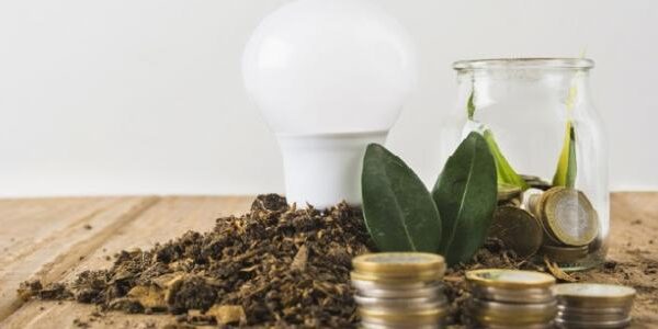 ما_هو_الاقتصاد_الأخضر